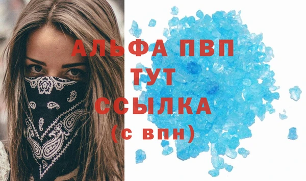 apvp Алзамай