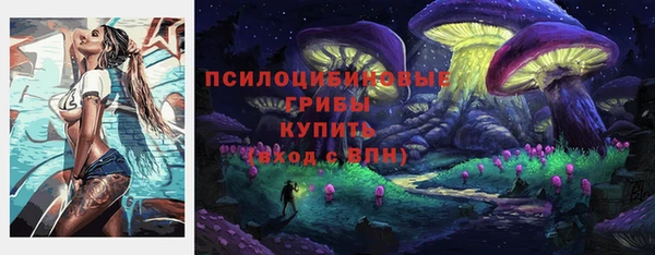 a pvp Алексин